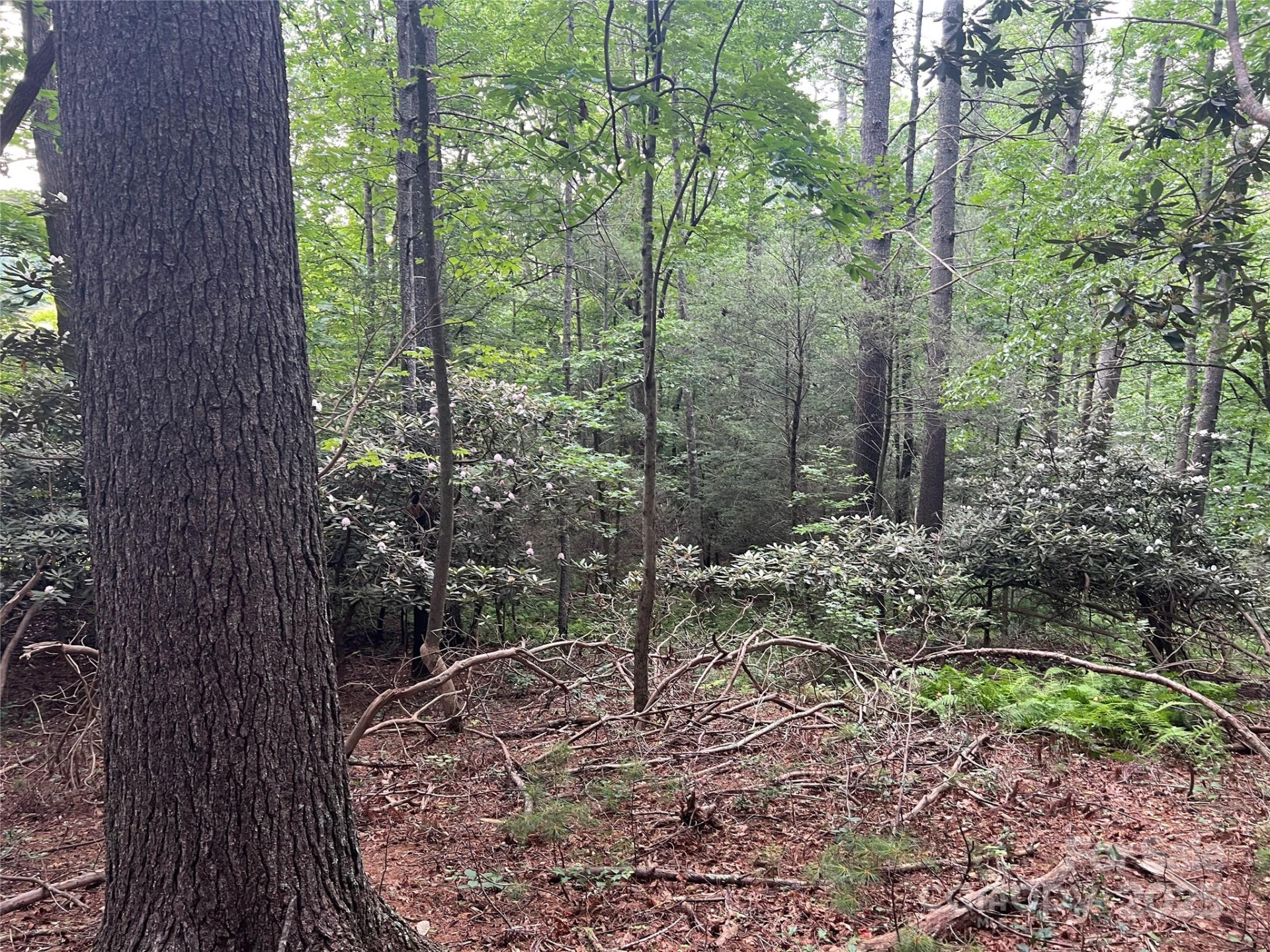 0 Browning View Road - Photo 29