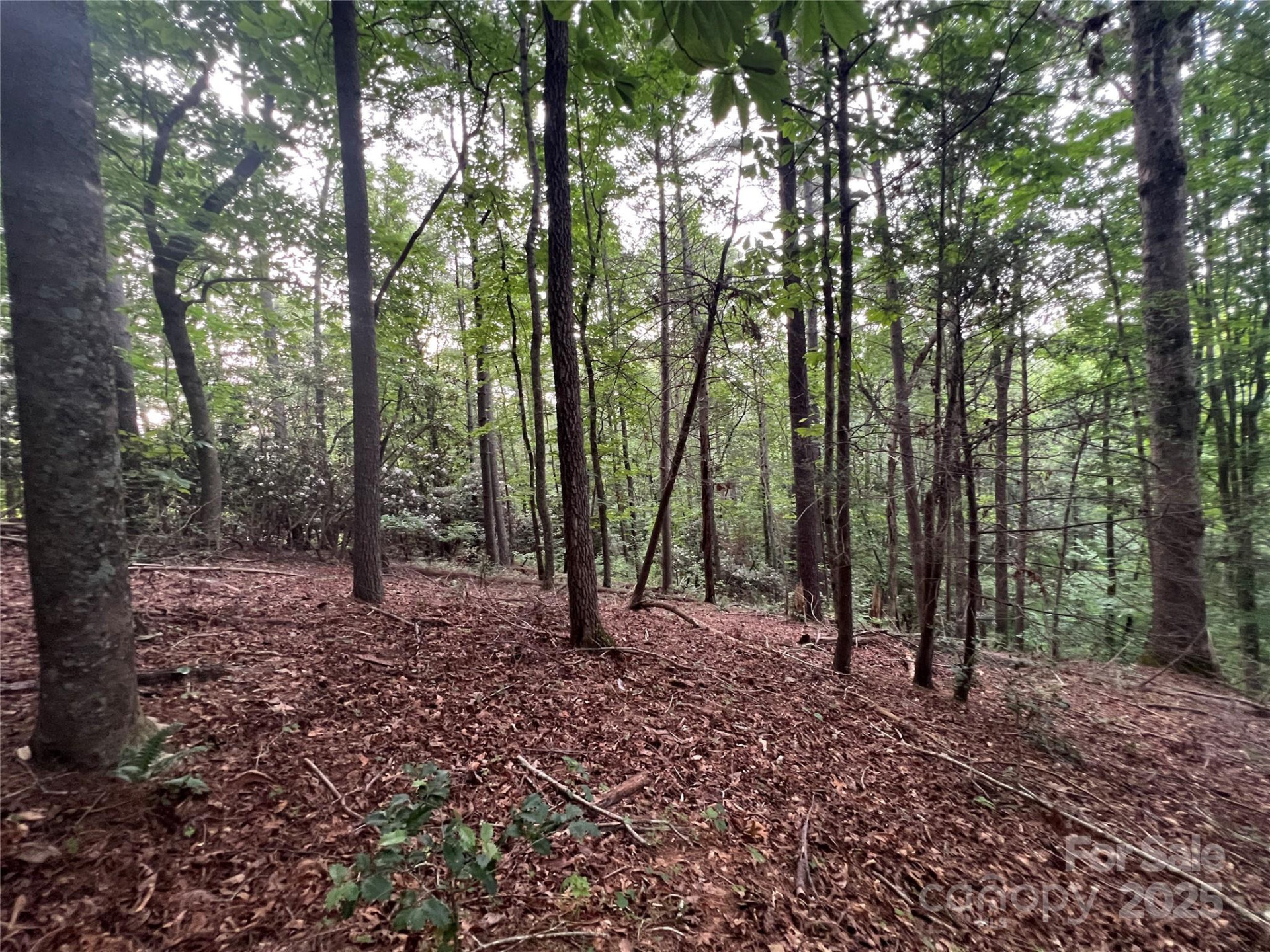 0 Browning View Road - Photo 30