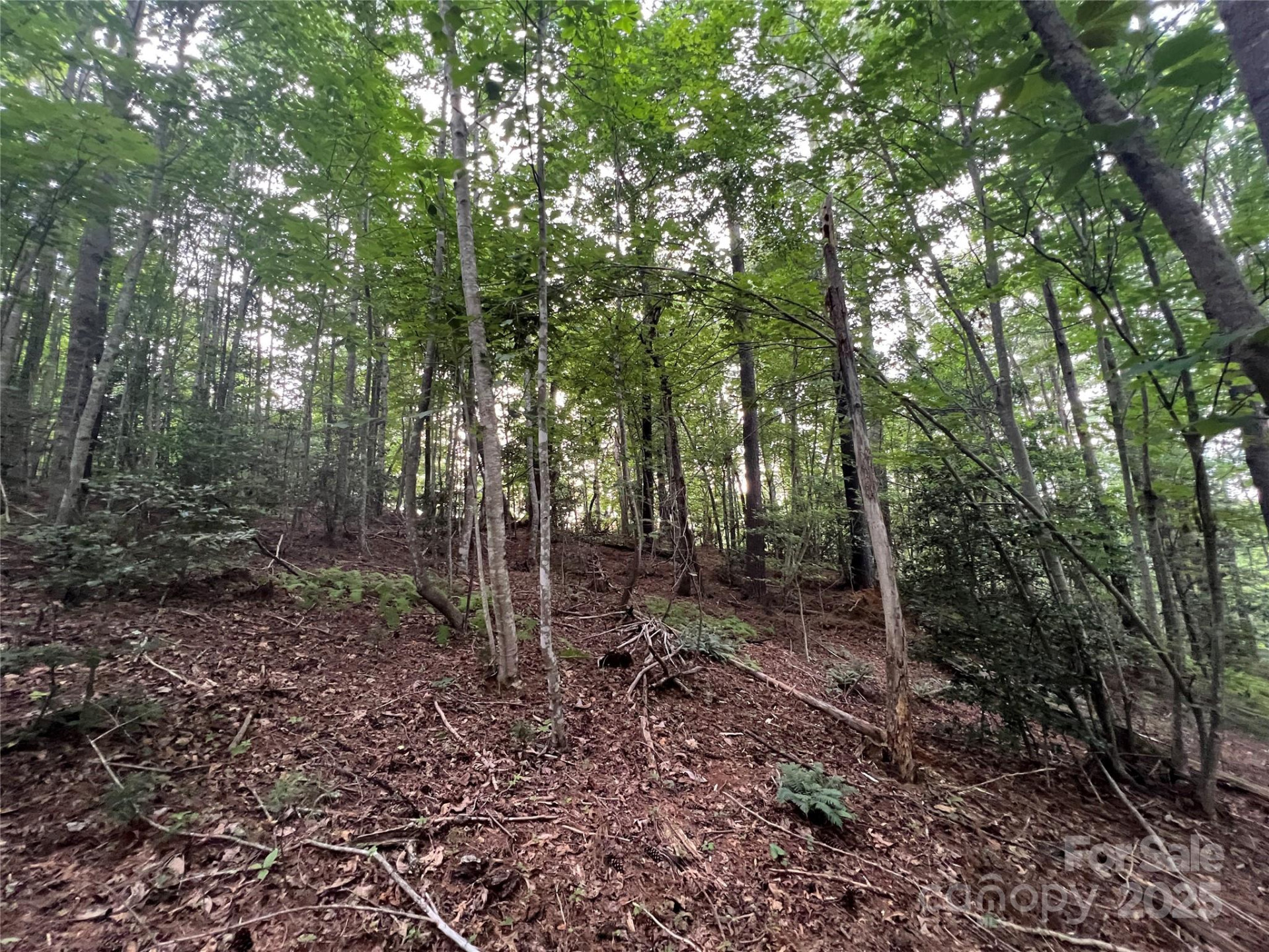 0 Browning View Road - Photo 31
