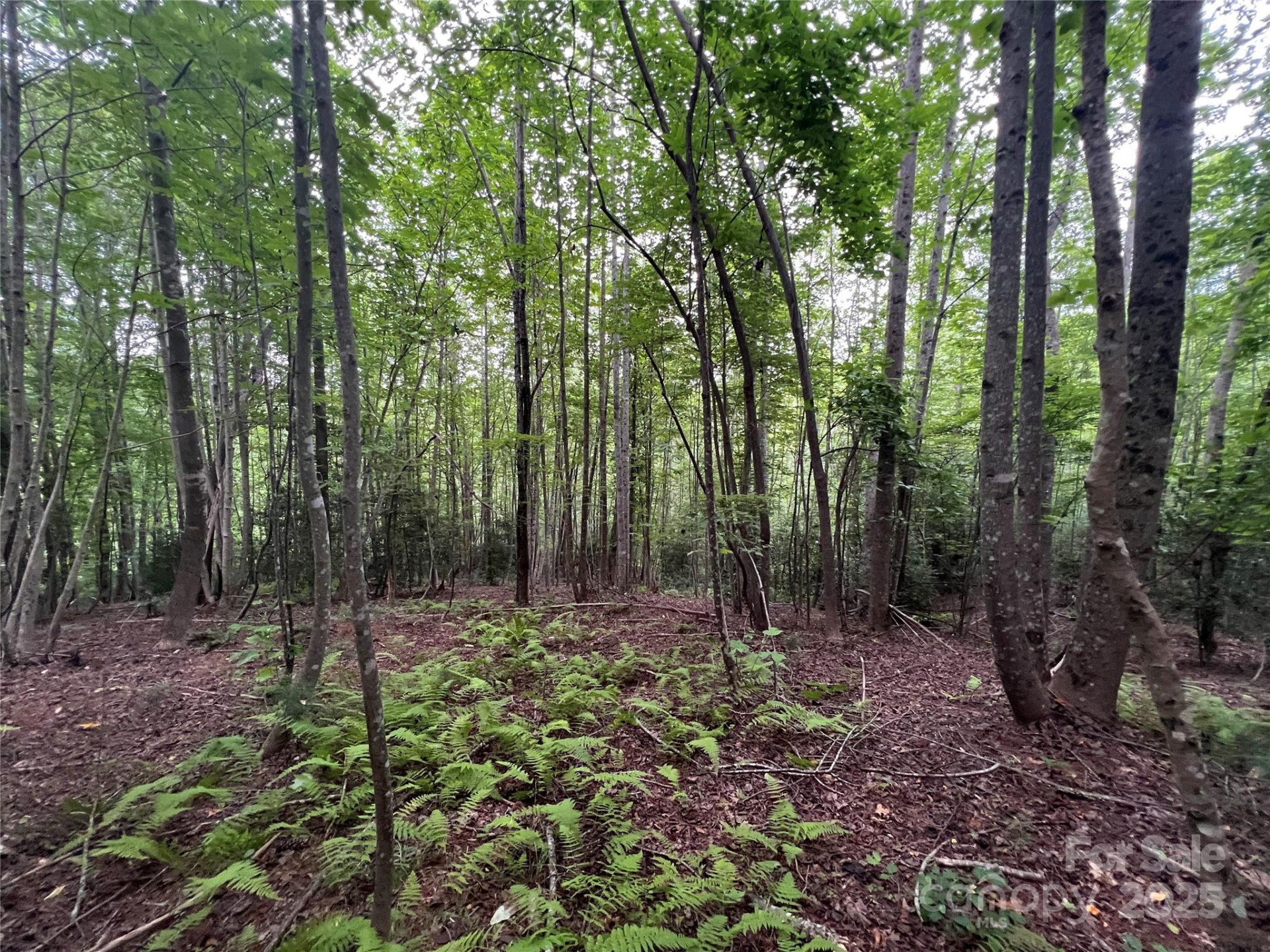 0 Browning View Road - Photo 32