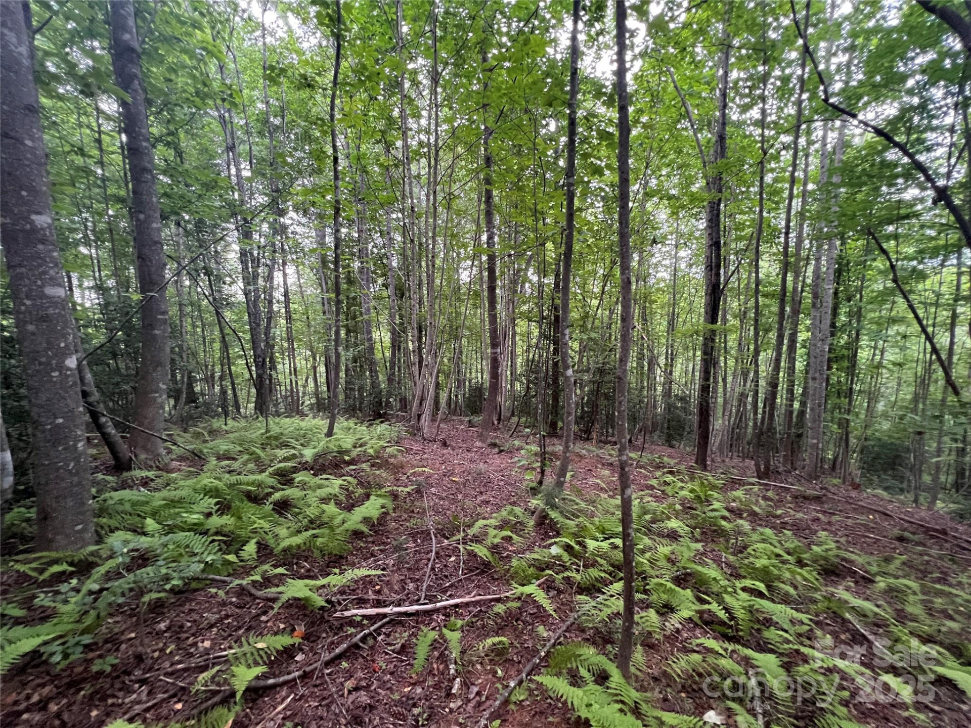 0 Browning View Road - Photo 33