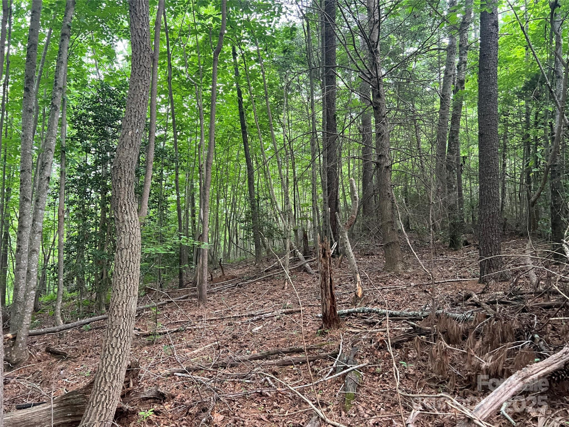 0 Browning View Road - Photo 34