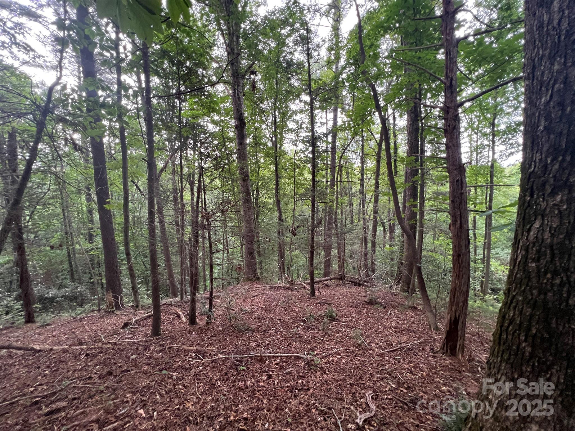 0 Browning View Road - Photo 36