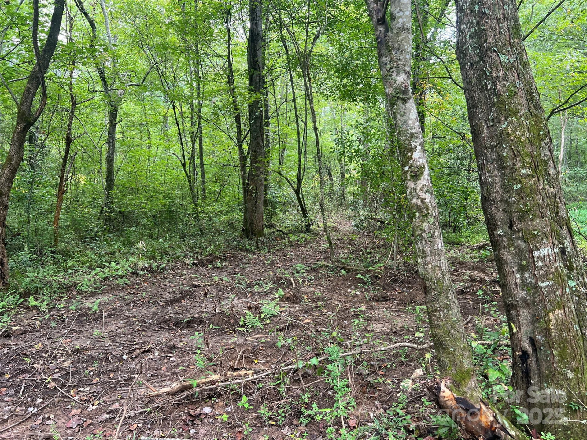 0 Browning View Road - Photo 5