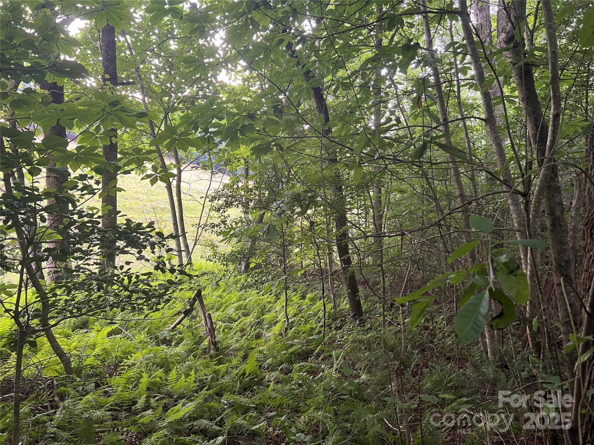 0 Browning View Road - Photo 41