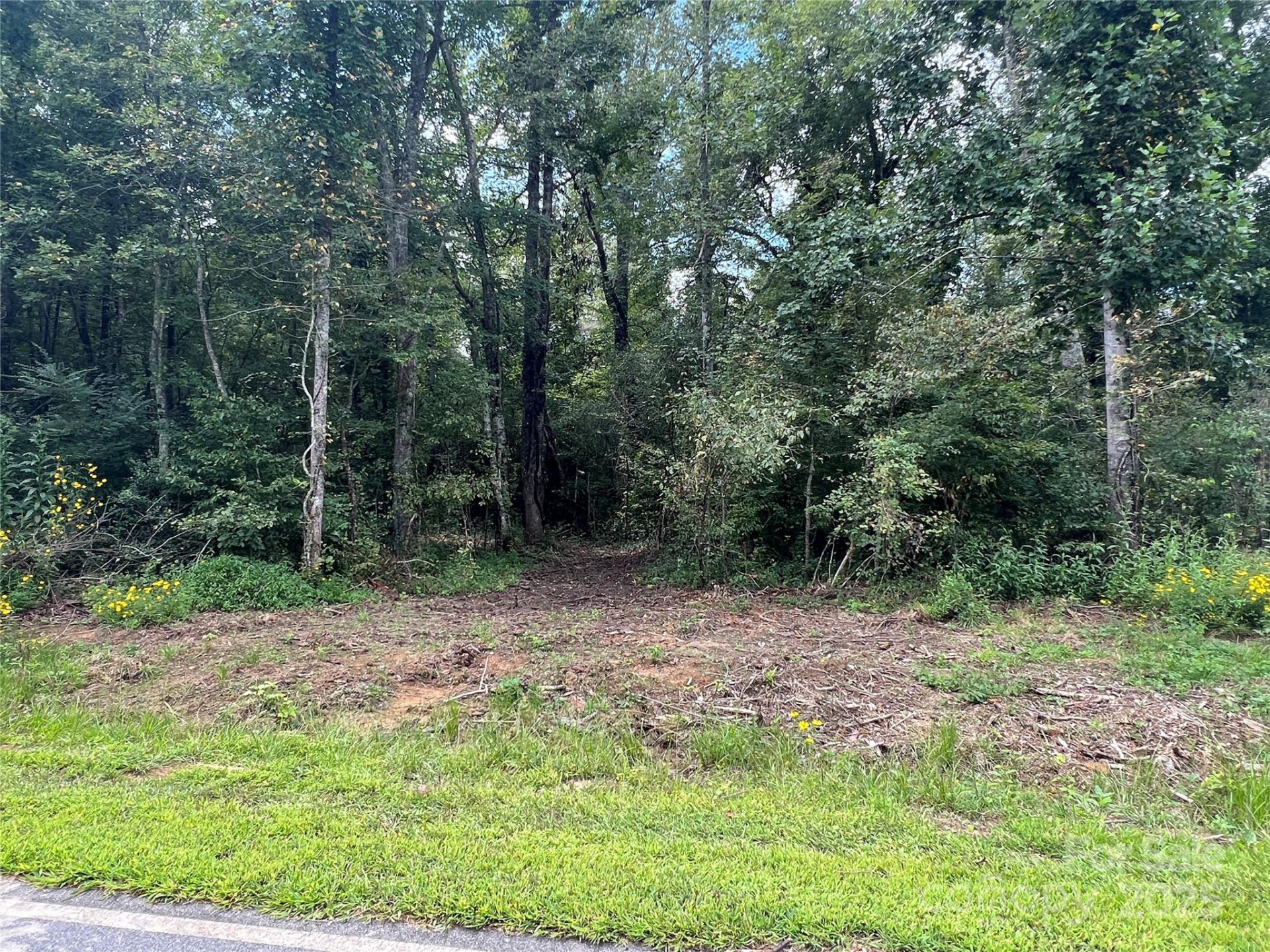 0 Browning View Road - Photo 6