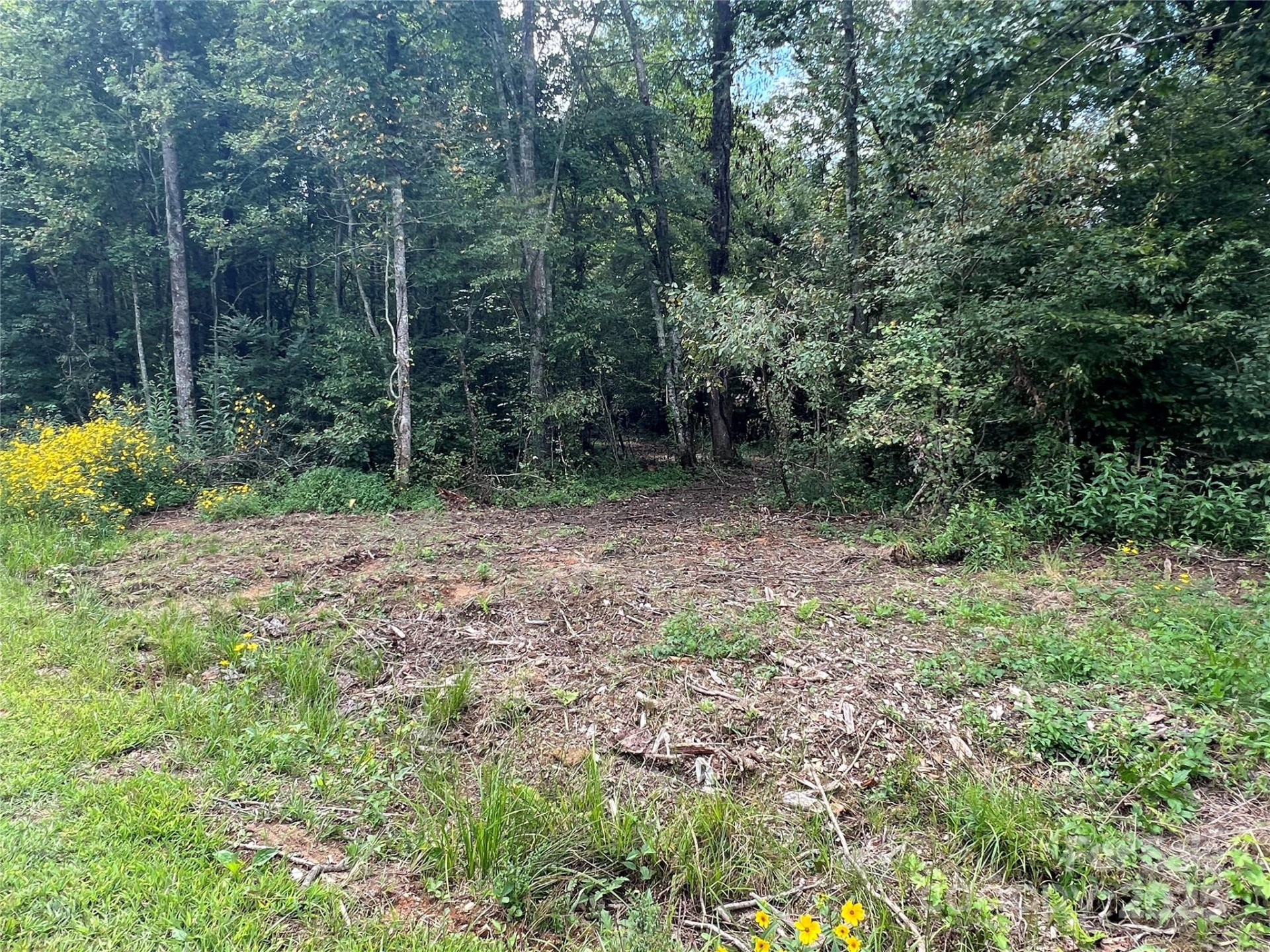 0 Browning View Road - Photo 7