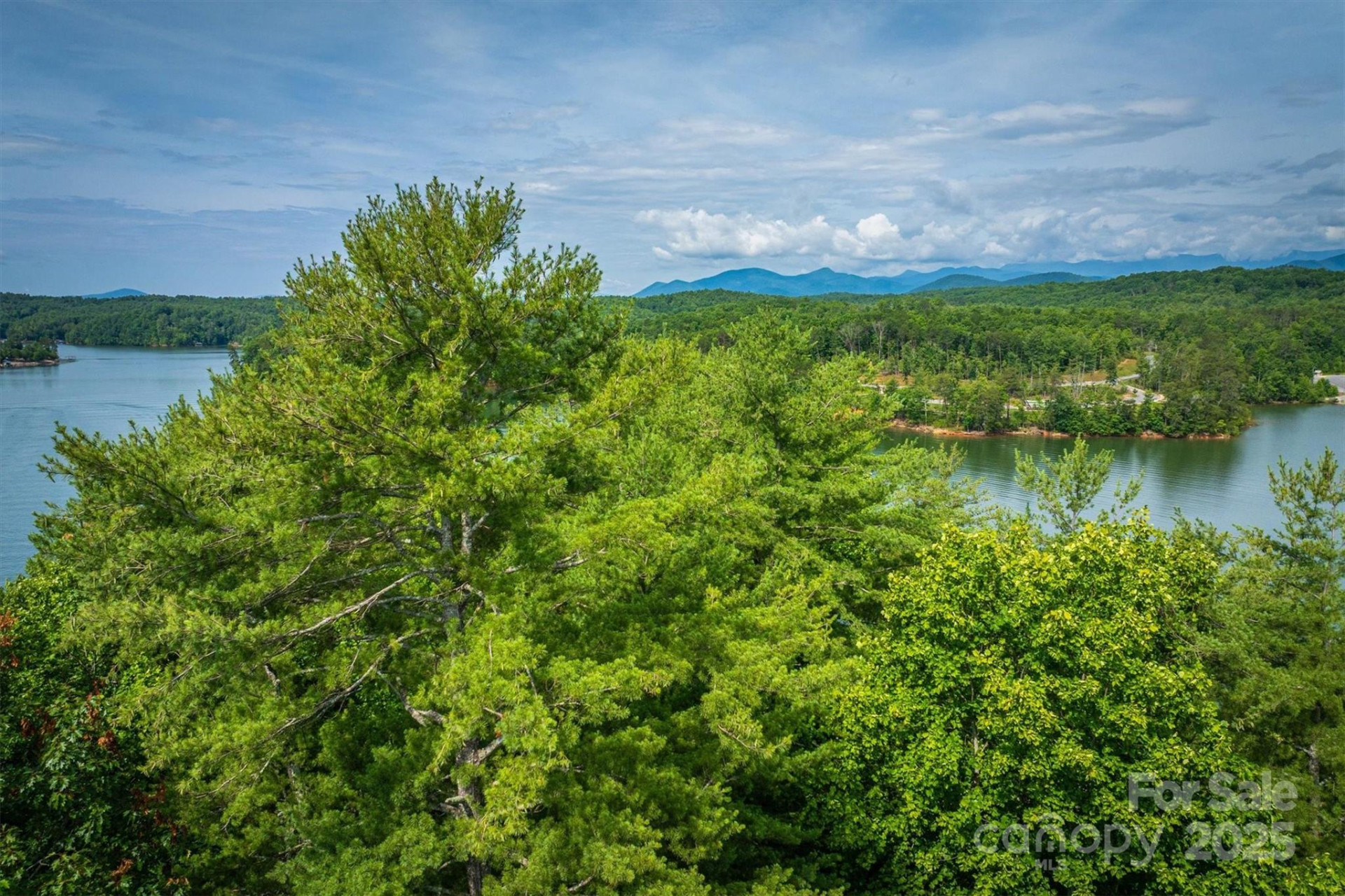 810 Marina Drive #1 - Photo 13