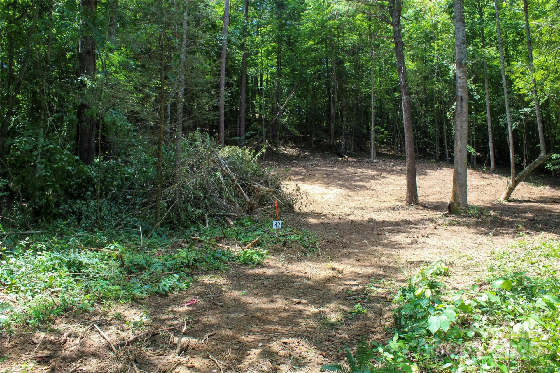 9999 Gabriels Creek Road #42 - Photo 2