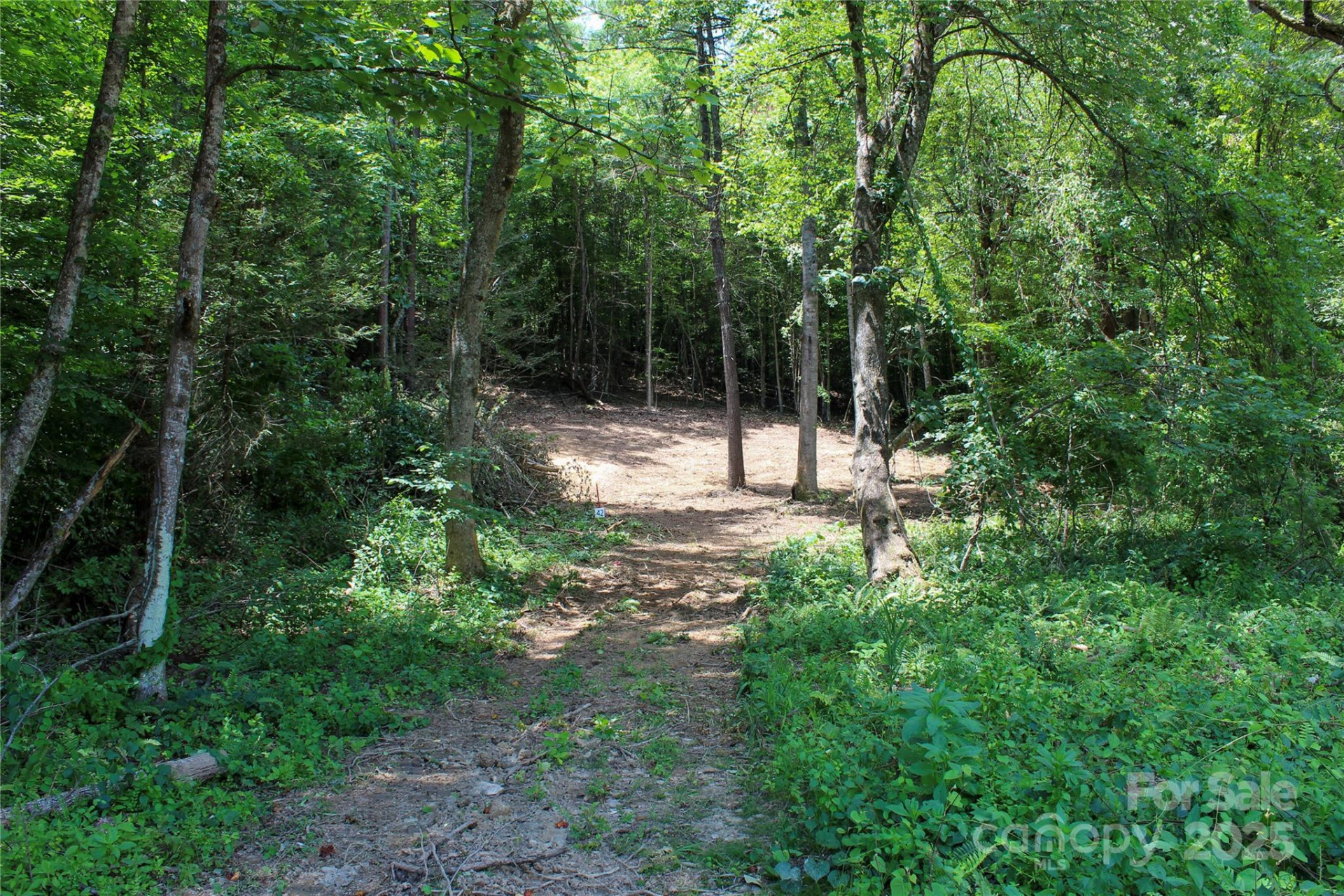 9999 Gabriels Creek Road #42 - Photo 4