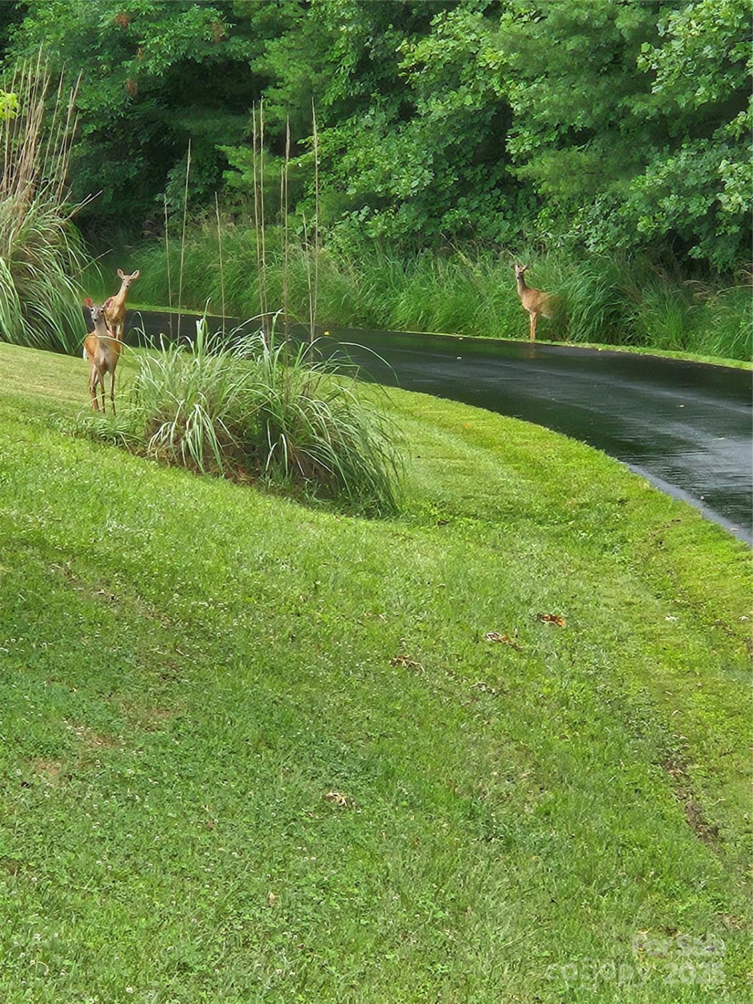 9999 Gabriels Creek Road #42 - Photo 7