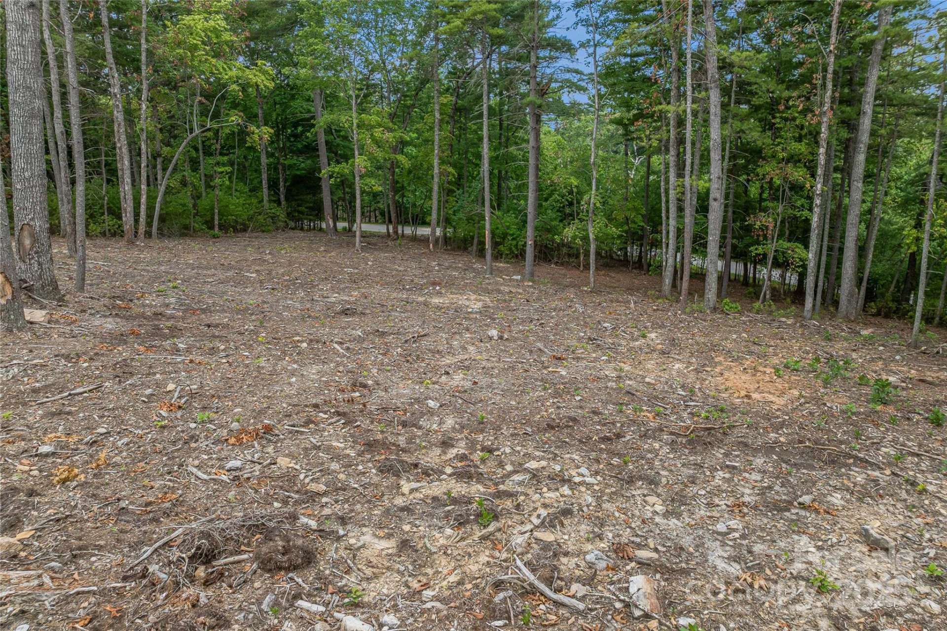 99999 Cedar Hill Drive #28 - Photo 13