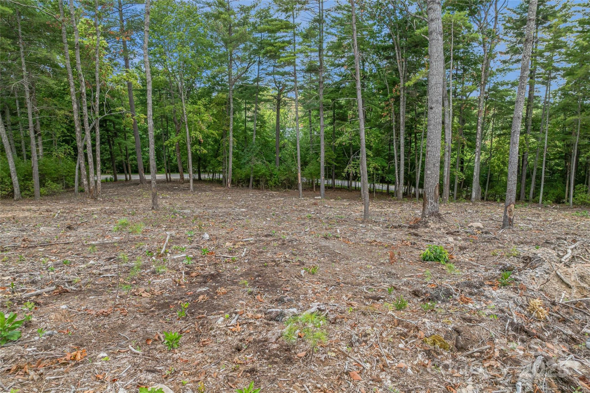 99999 Cedar Hill Drive #28 - Photo 15