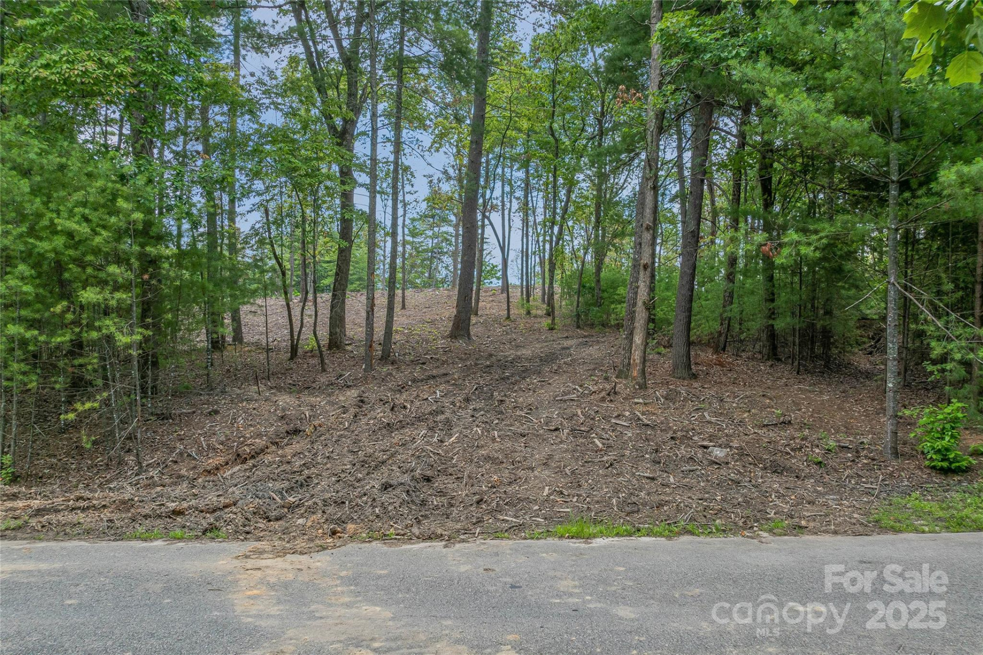 99999 Cedar Hill Drive #28 - Photo 9