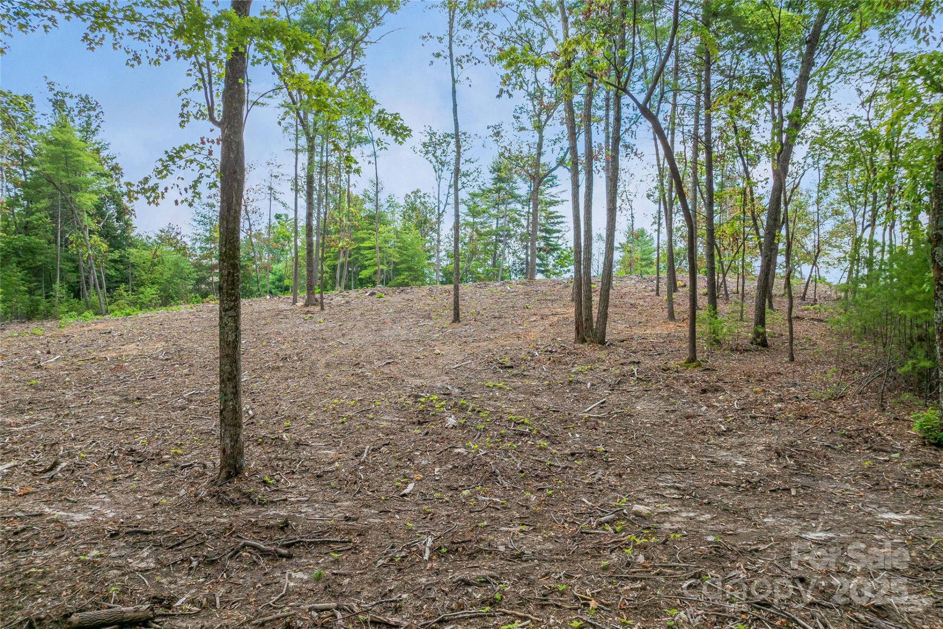 99999 Cedar Hill Drive #28 - Photo 10