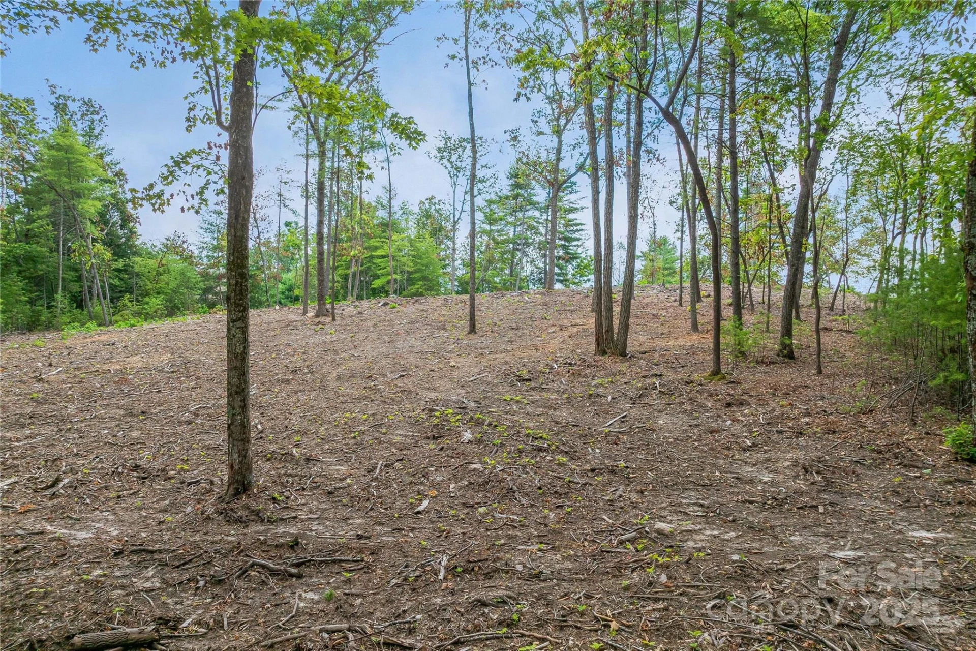 99999 Cedar Hill Drive #28 - Photo 10