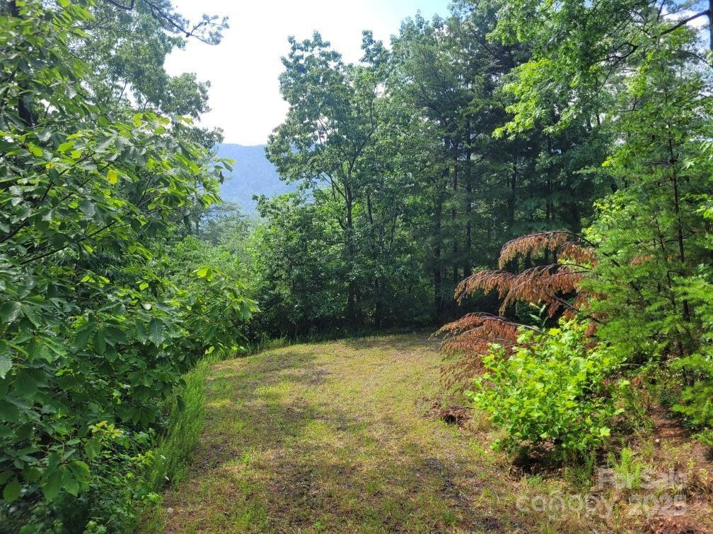 Lot 72 Maureen Parkway - Photo 12