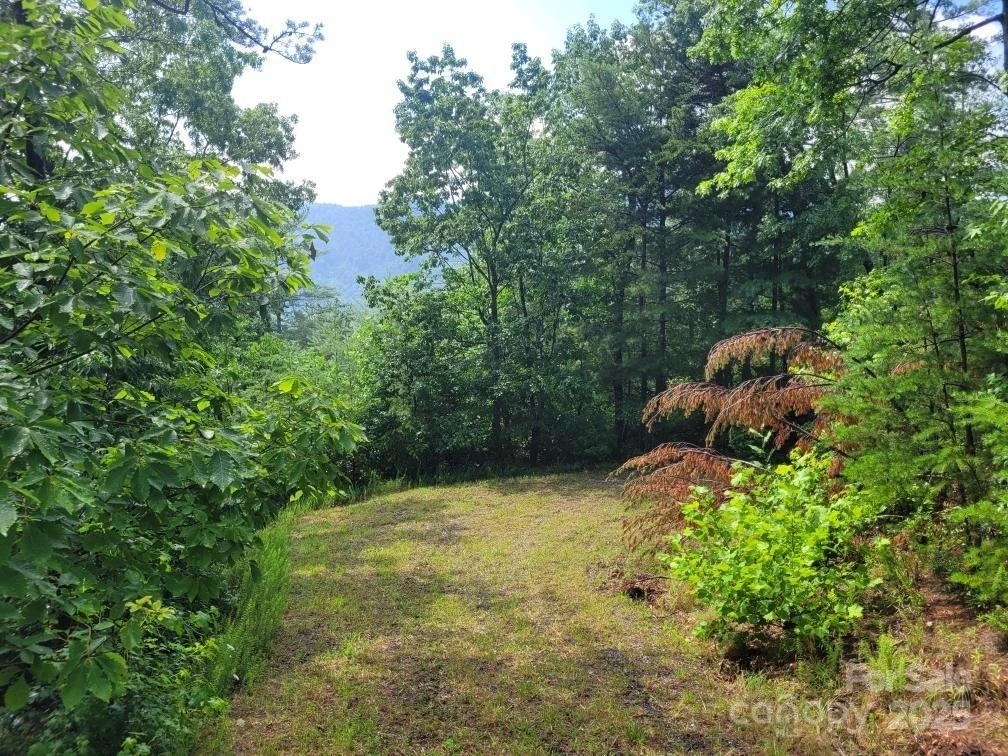 Lot 72 Maureen Parkway - Photo 12