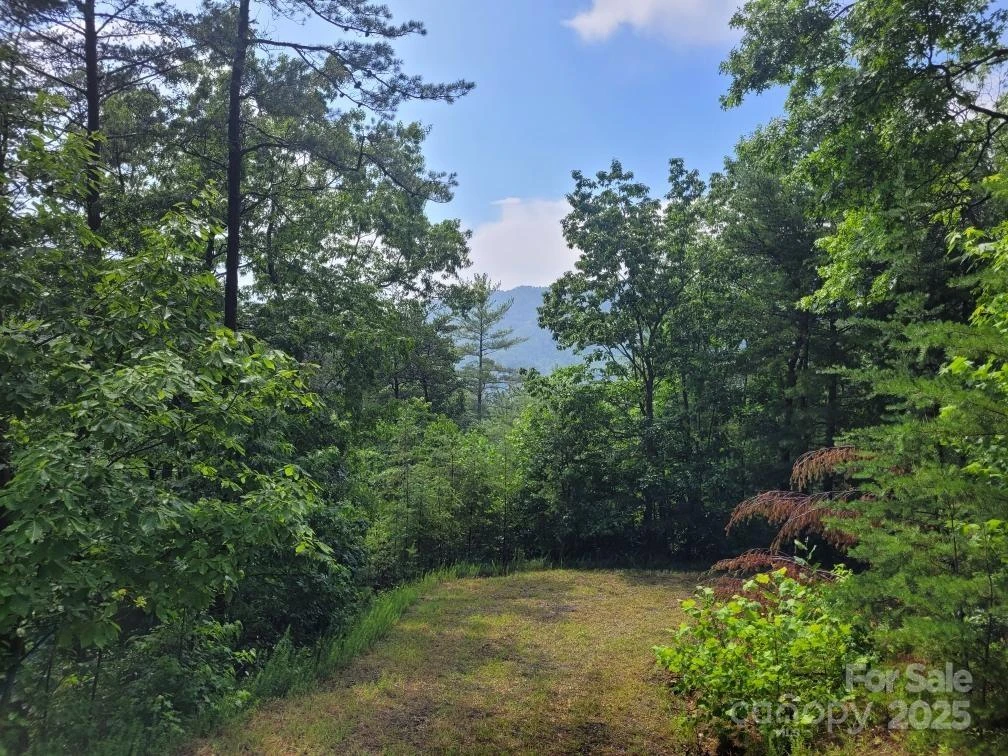 Lot 72 Maureen Parkway - Photo 4