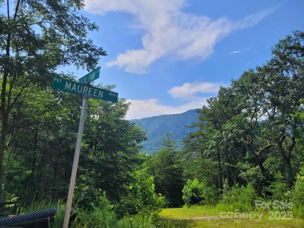 Lot 72 Maureen Parkway - Photo 8