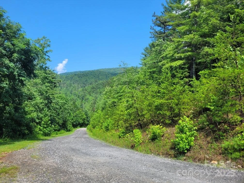 Lot 72 Maureen Parkway - Photo 9