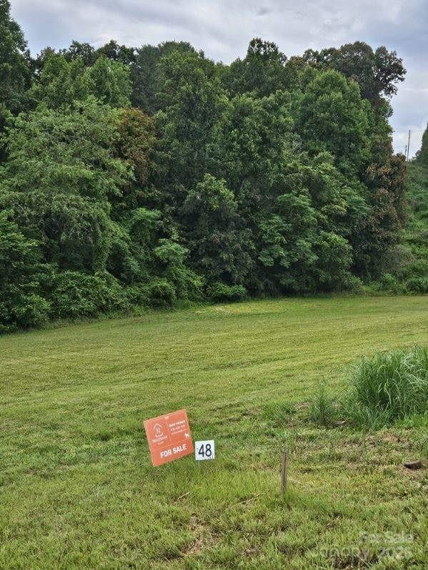 9999 Settlers Trail #48 - Photo 4