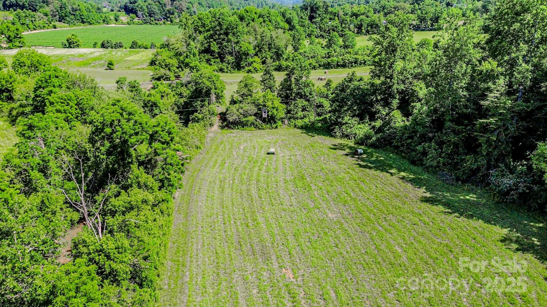 0 Cane Creek Road - Photo 2