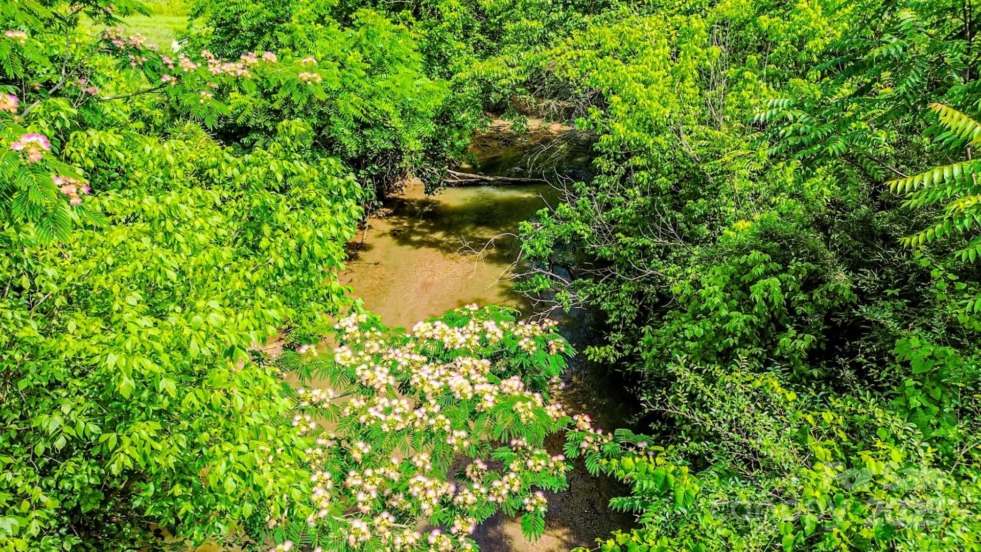 0 Cane Creek Road - Photo 11