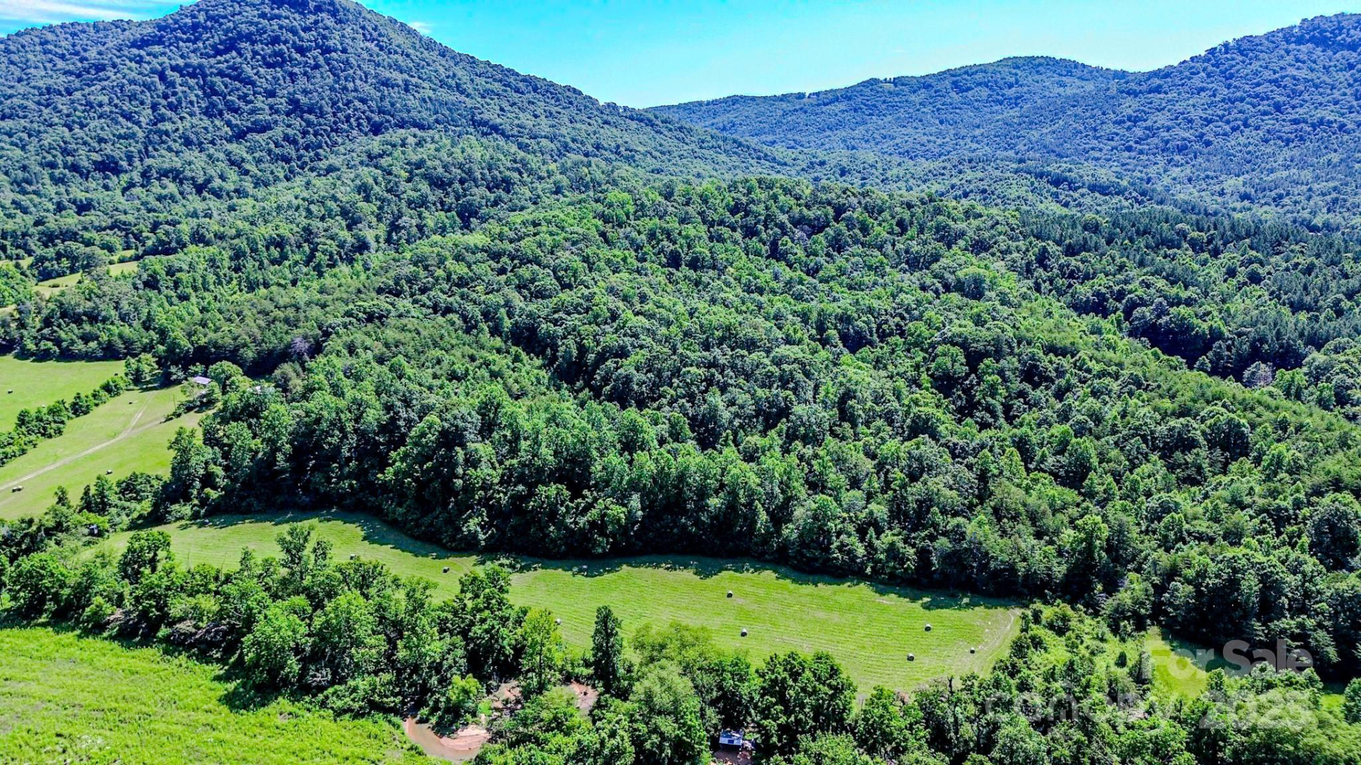 0 Cane Creek Road - Photo 12