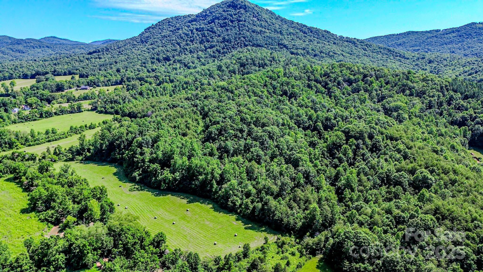 0 Cane Creek Road - Photo 13