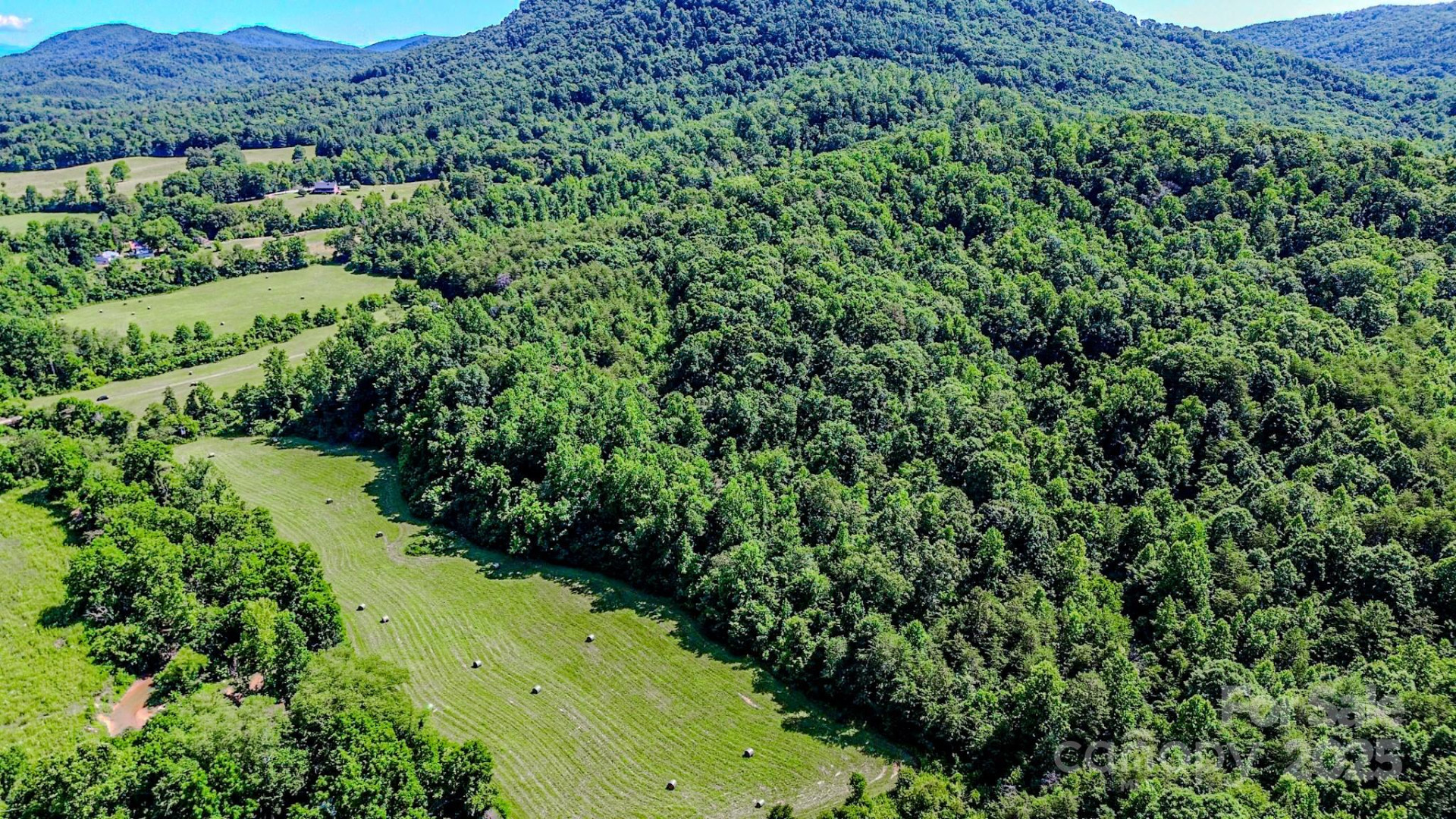 0 Cane Creek Road - Photo 14