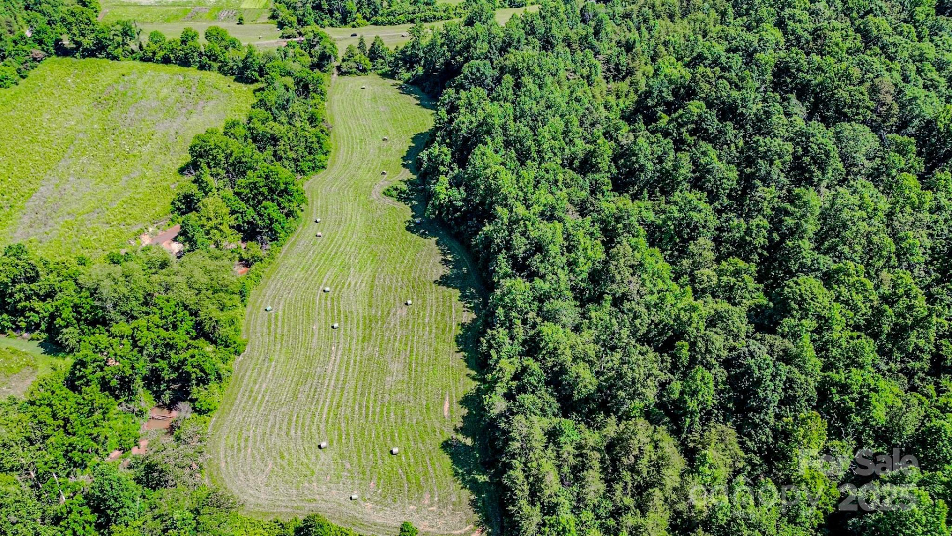 0 Cane Creek Road - Photo 15