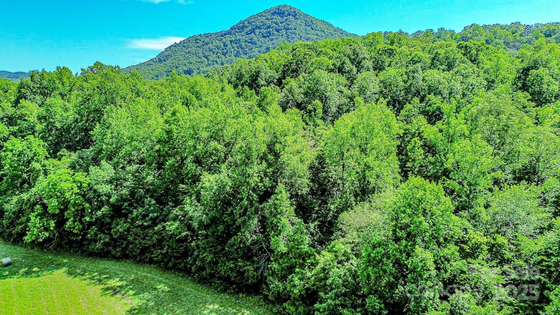 0 Cane Creek Road - Photo 16
