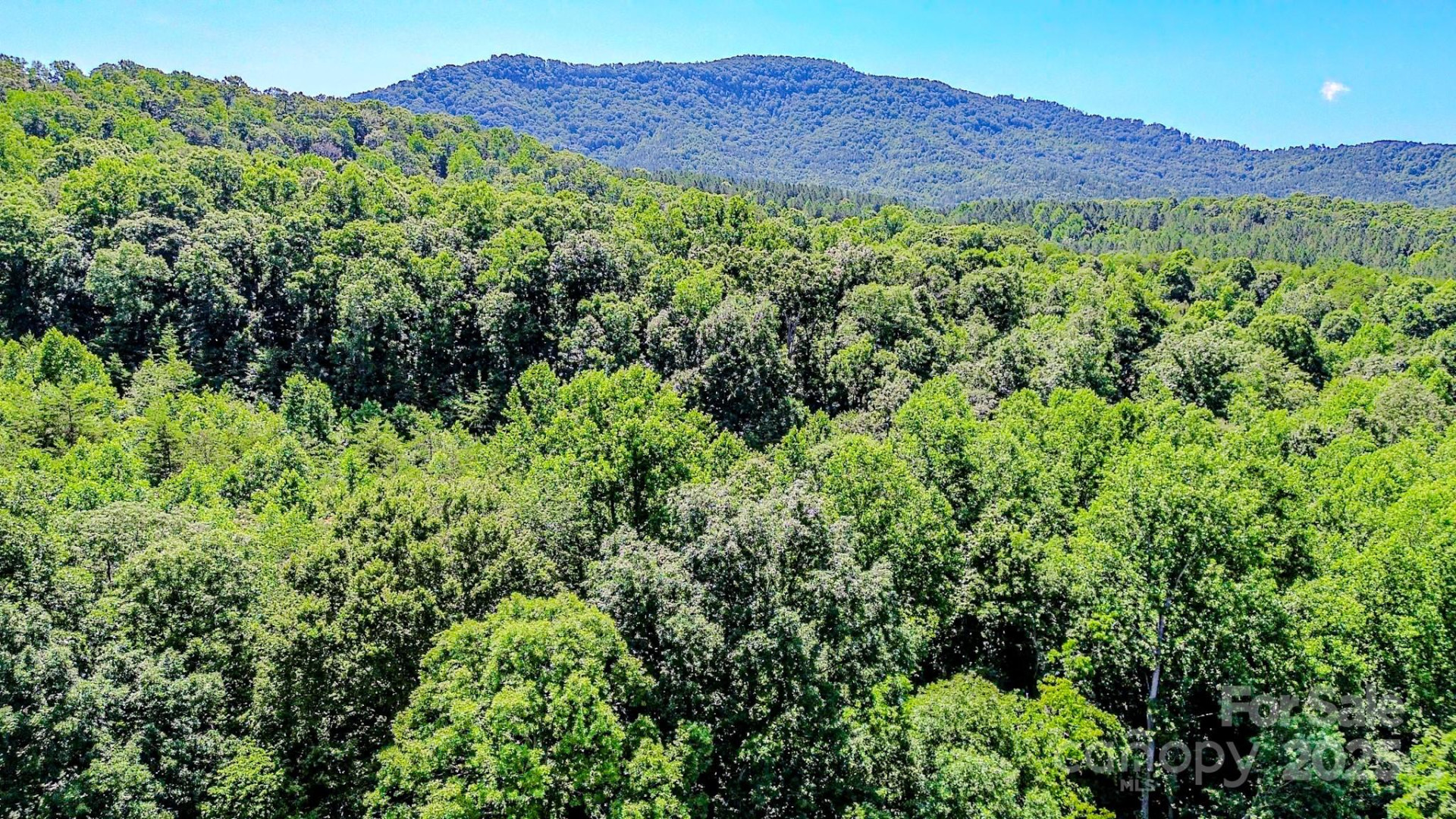 0 Cane Creek Road - Photo 17
