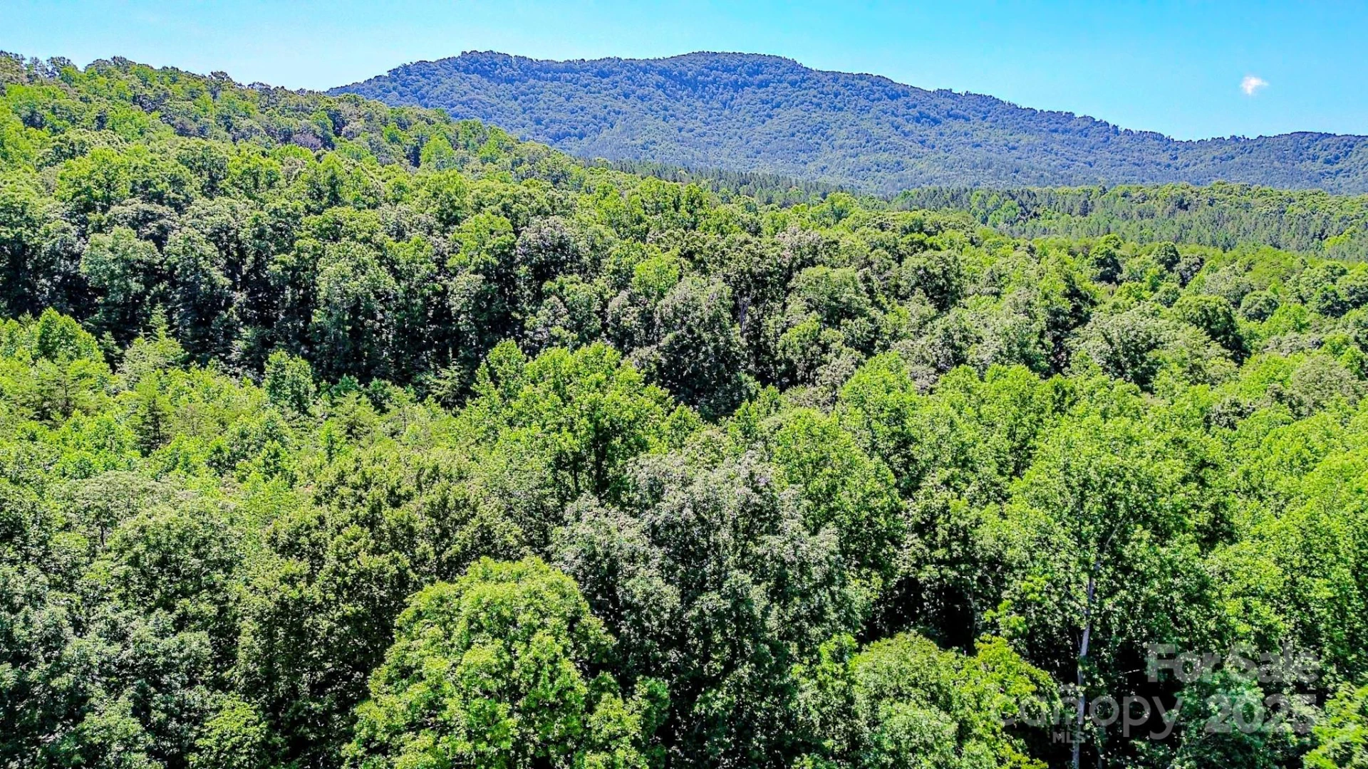0 Cane Creek Road - Photo 17