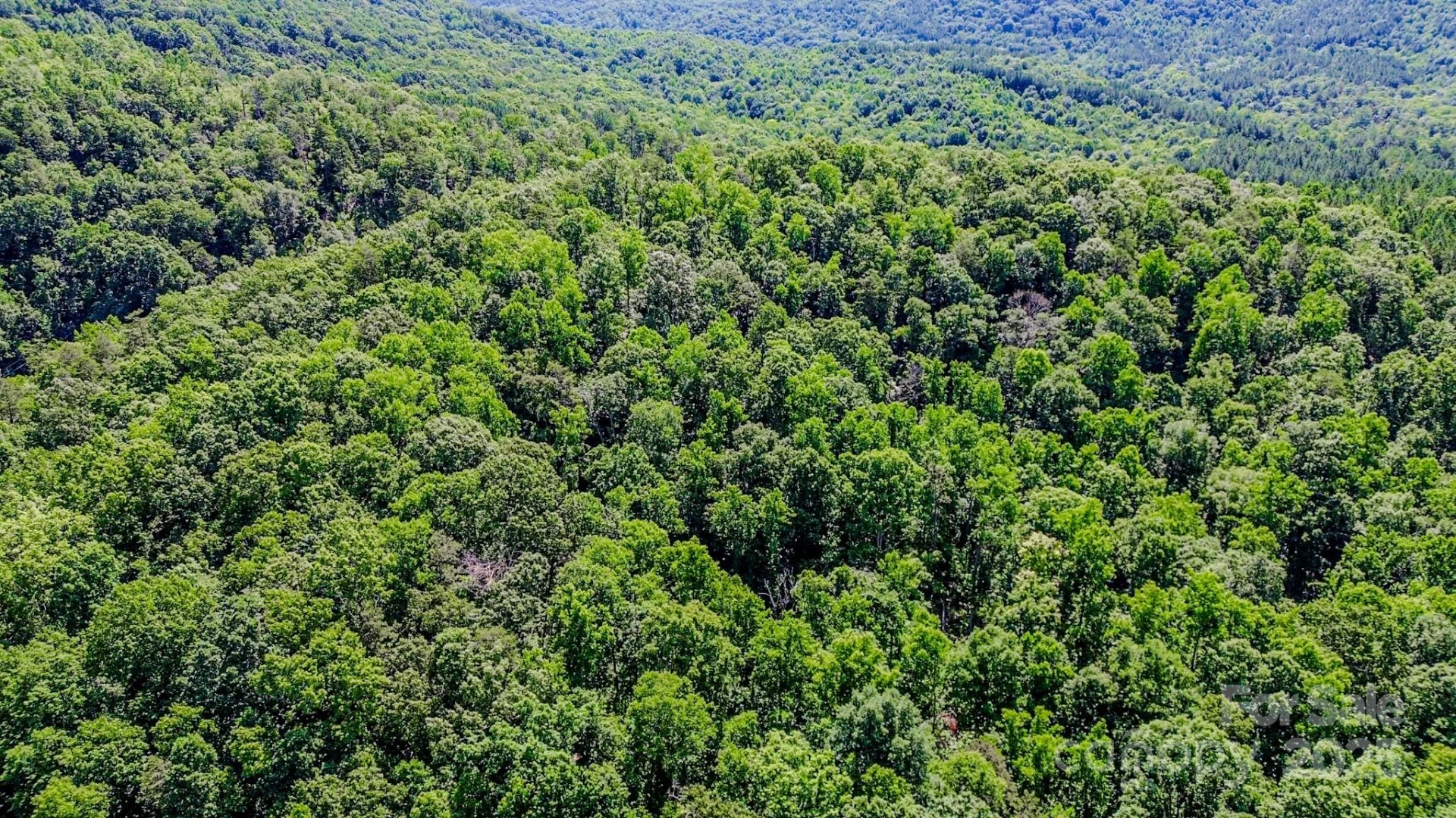 0 Cane Creek Road - Photo 18