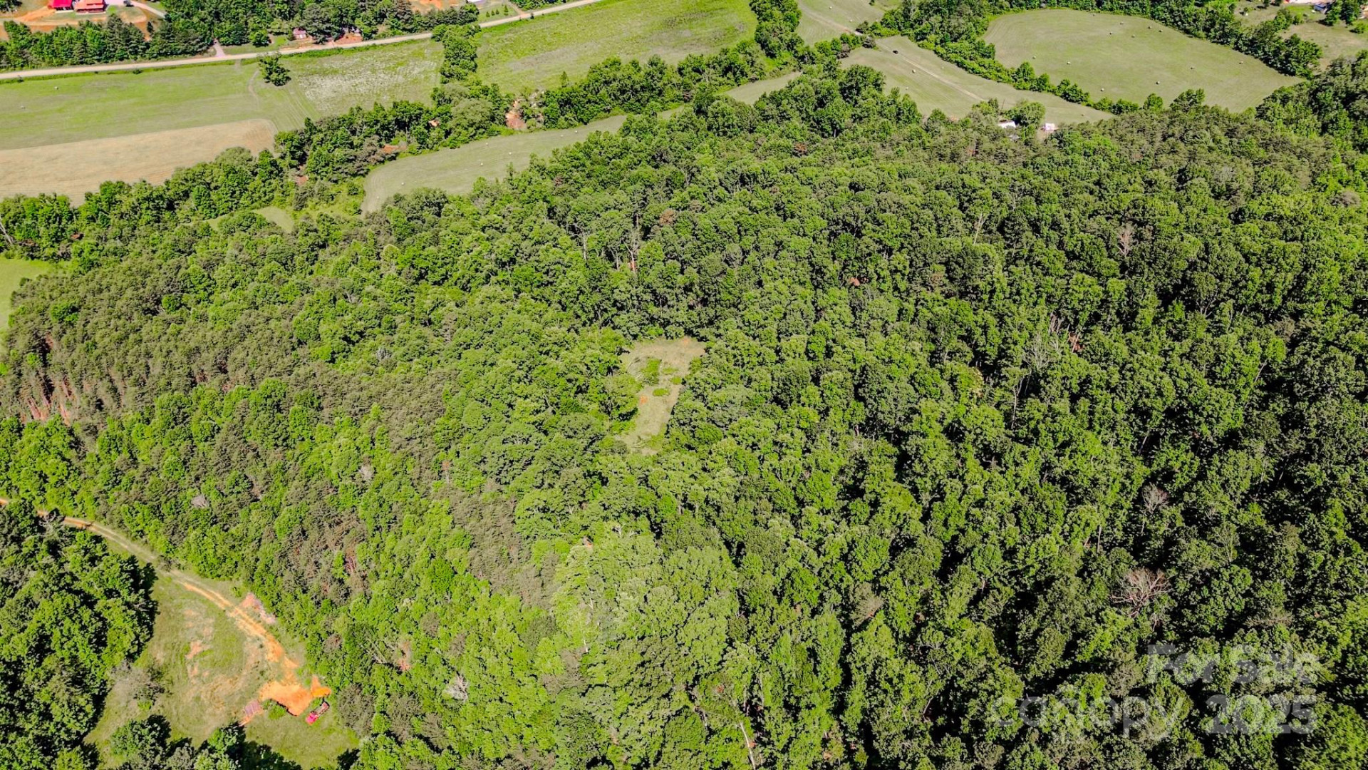 0 Cane Creek Road - Photo 19