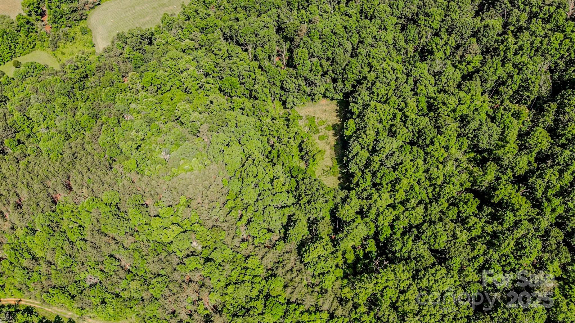 0 Cane Creek Road - Photo 20