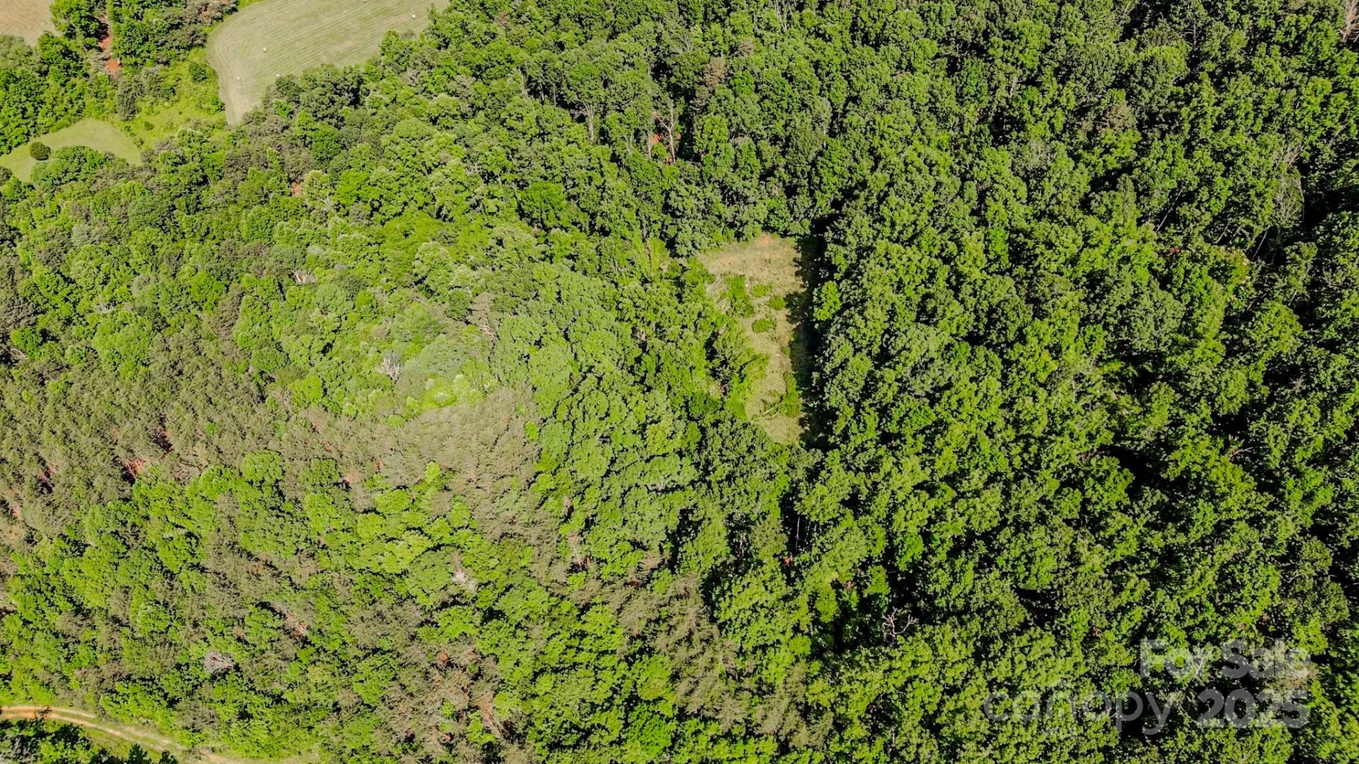 0 Cane Creek Road - Photo 20