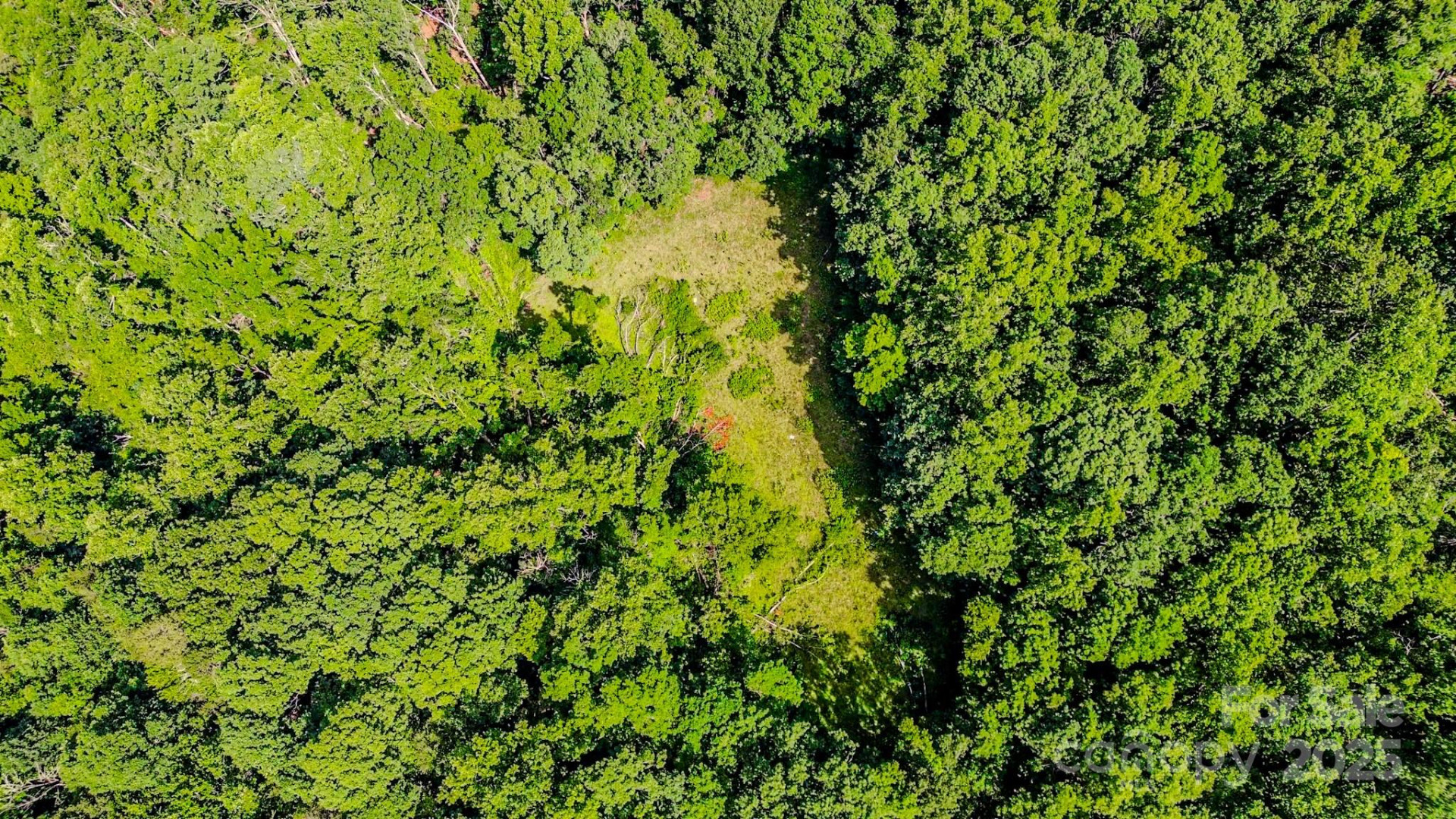 0 Cane Creek Road - Photo 21