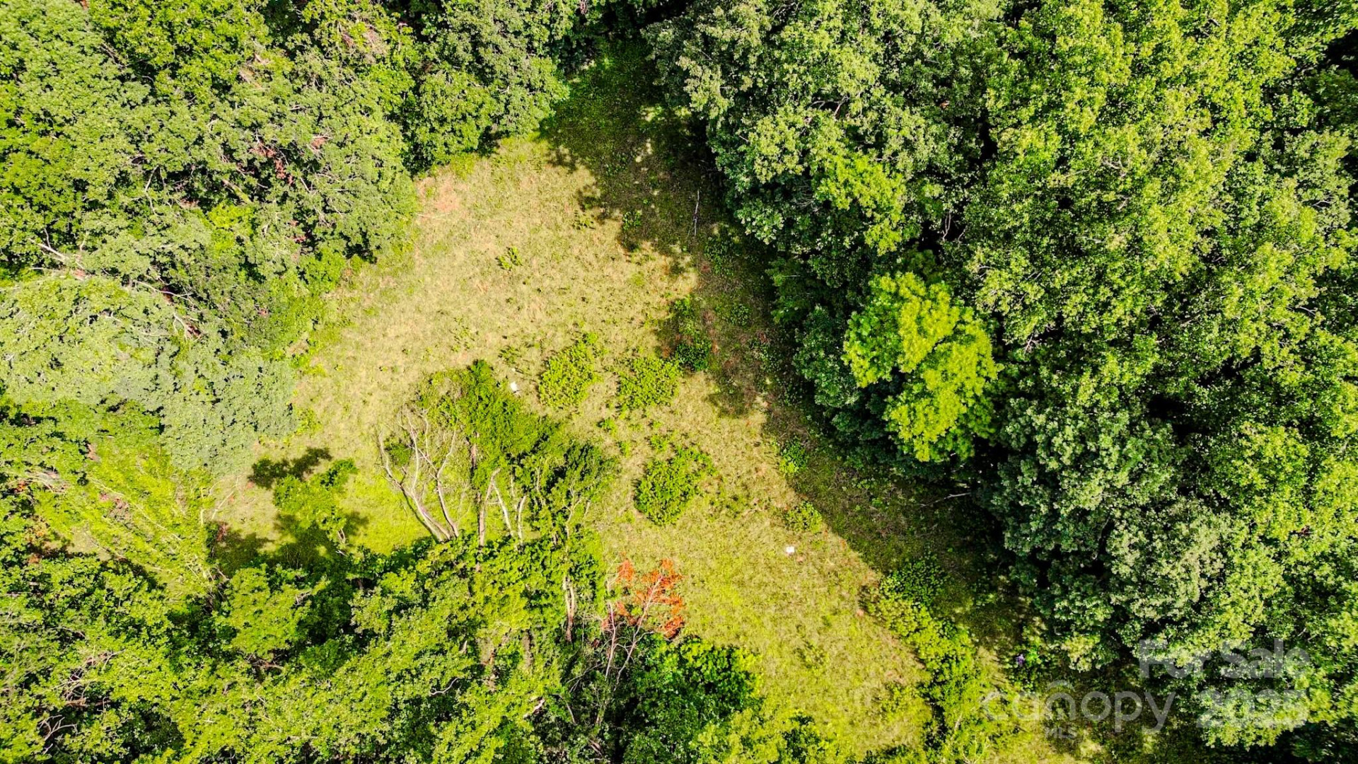 0 Cane Creek Road - Photo 22