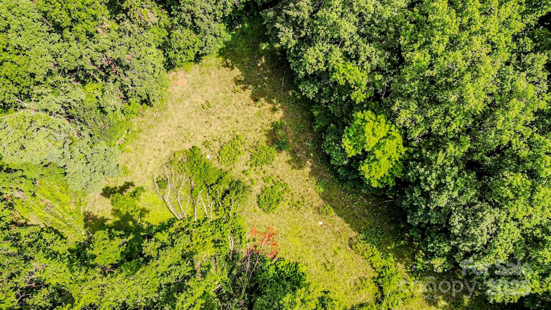 0 Cane Creek Road - Photo 22