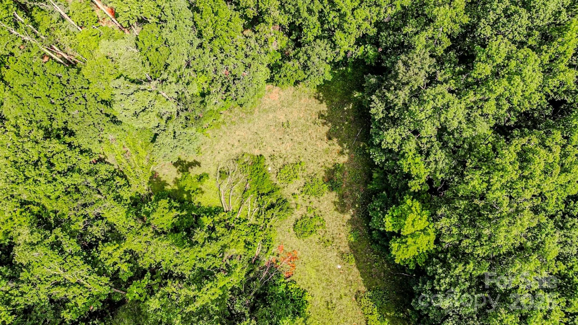 0 Cane Creek Road - Photo 23