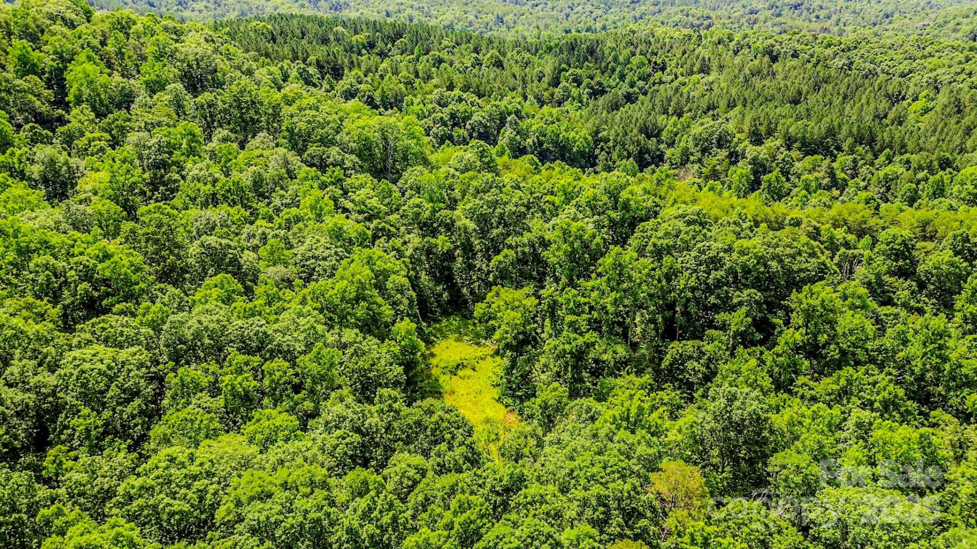 0 Cane Creek Road - Photo 24