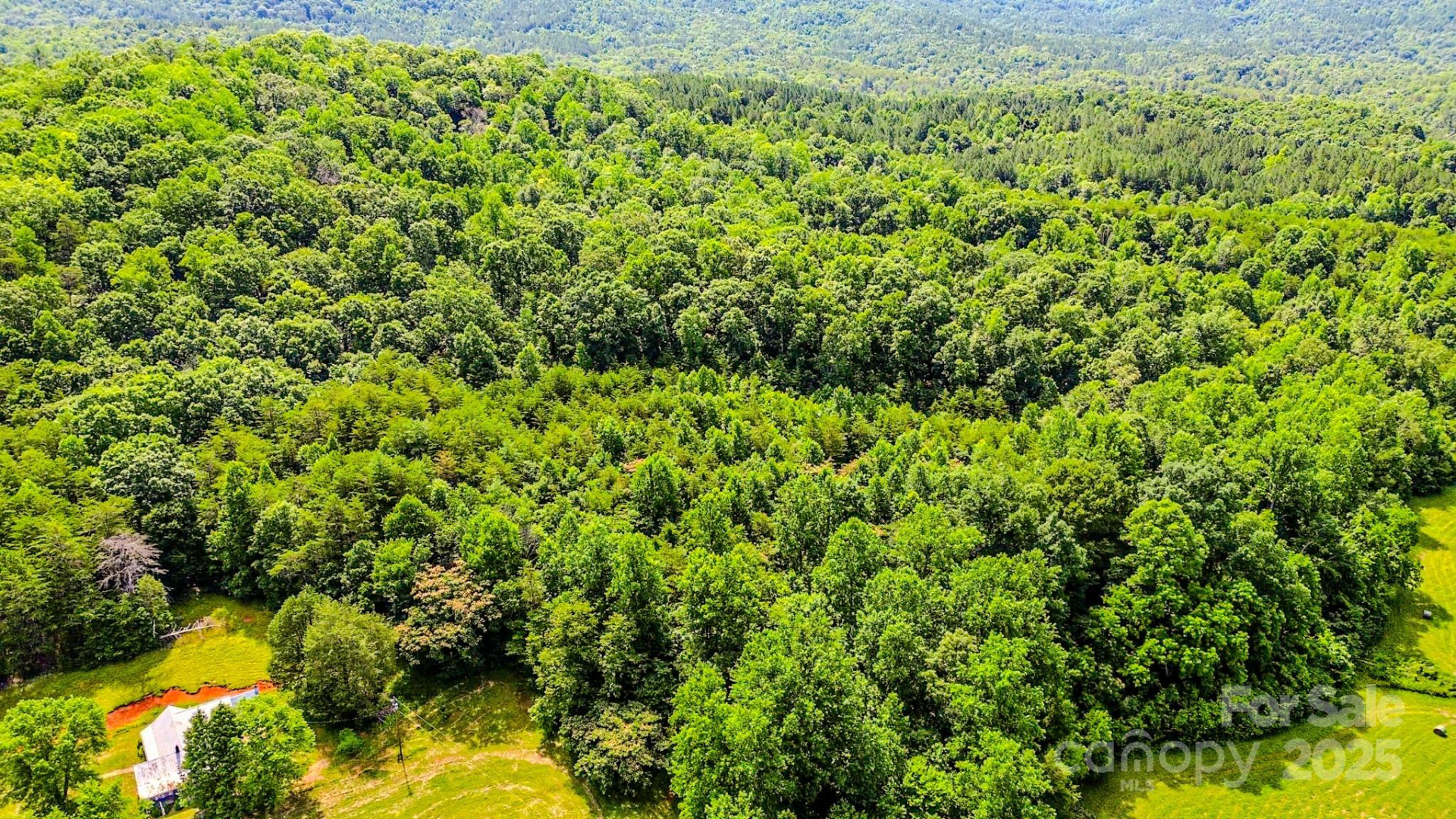 0 Cane Creek Road - Photo 25