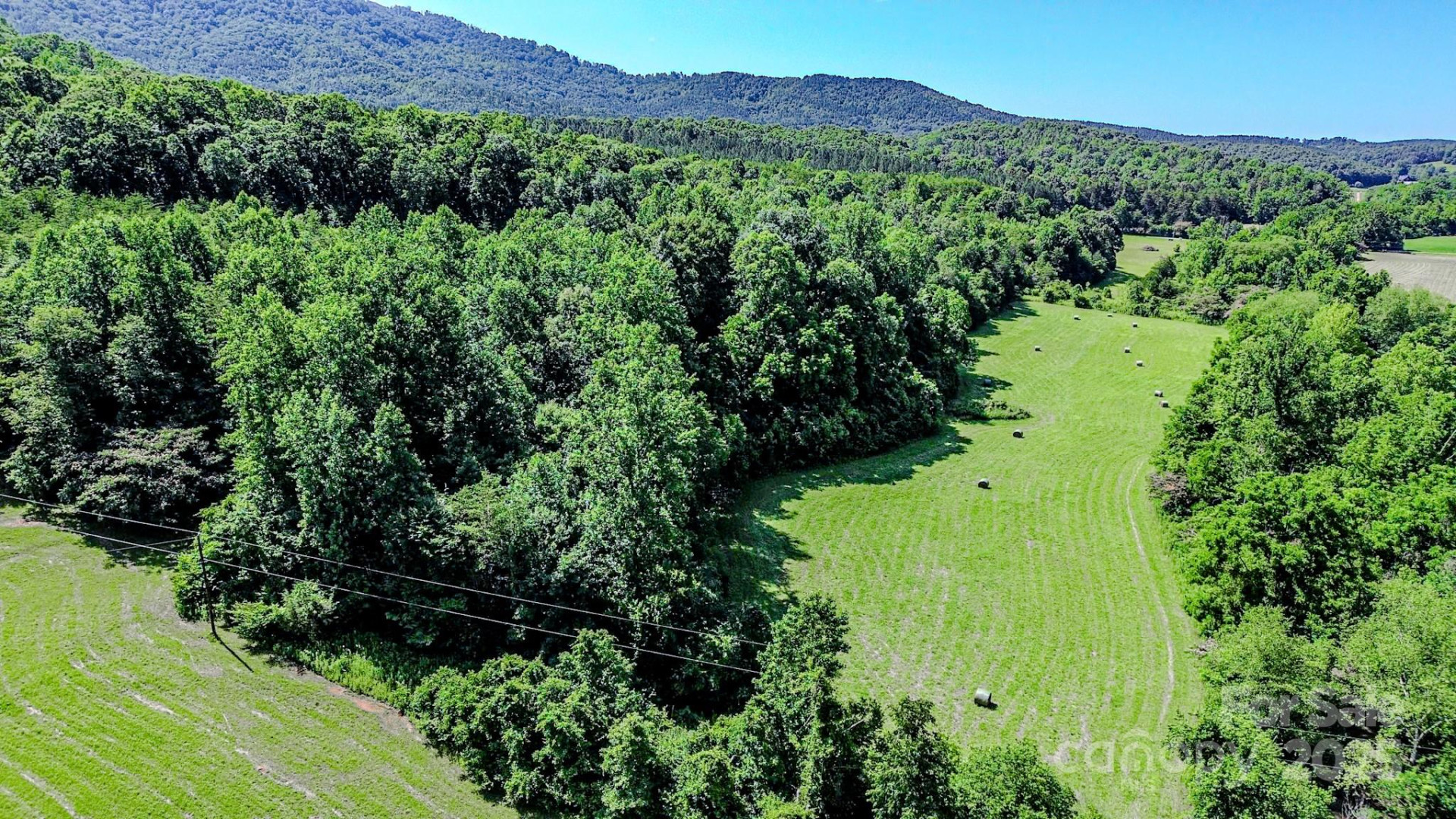 0 Cane Creek Road - Photo 4