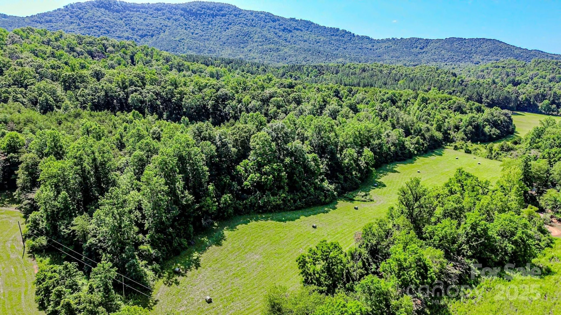 0 Cane Creek Road - Photo 7