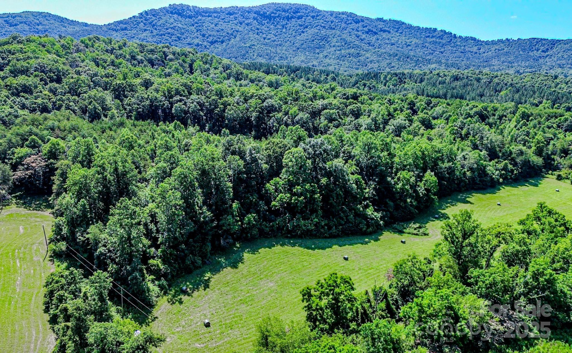 0 Cane Creek Road - Photo 8