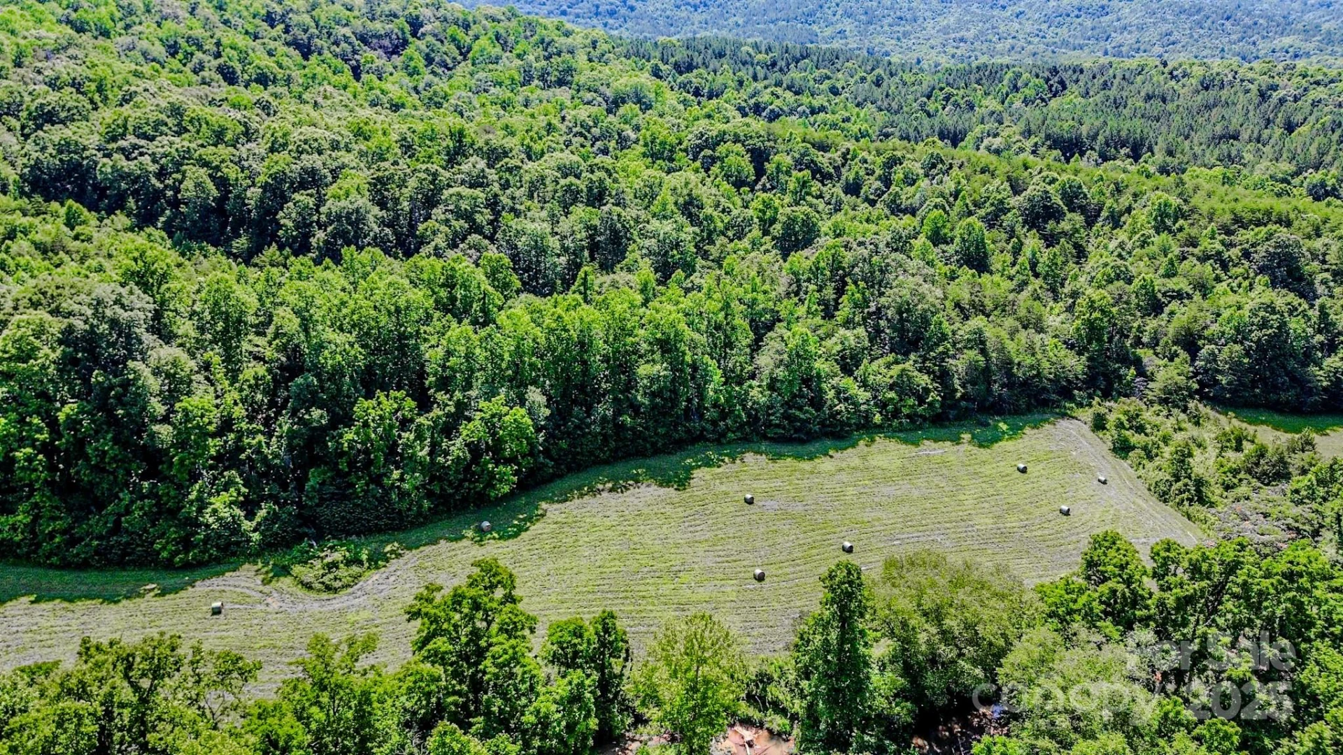0 Cane Creek Road - Photo 9