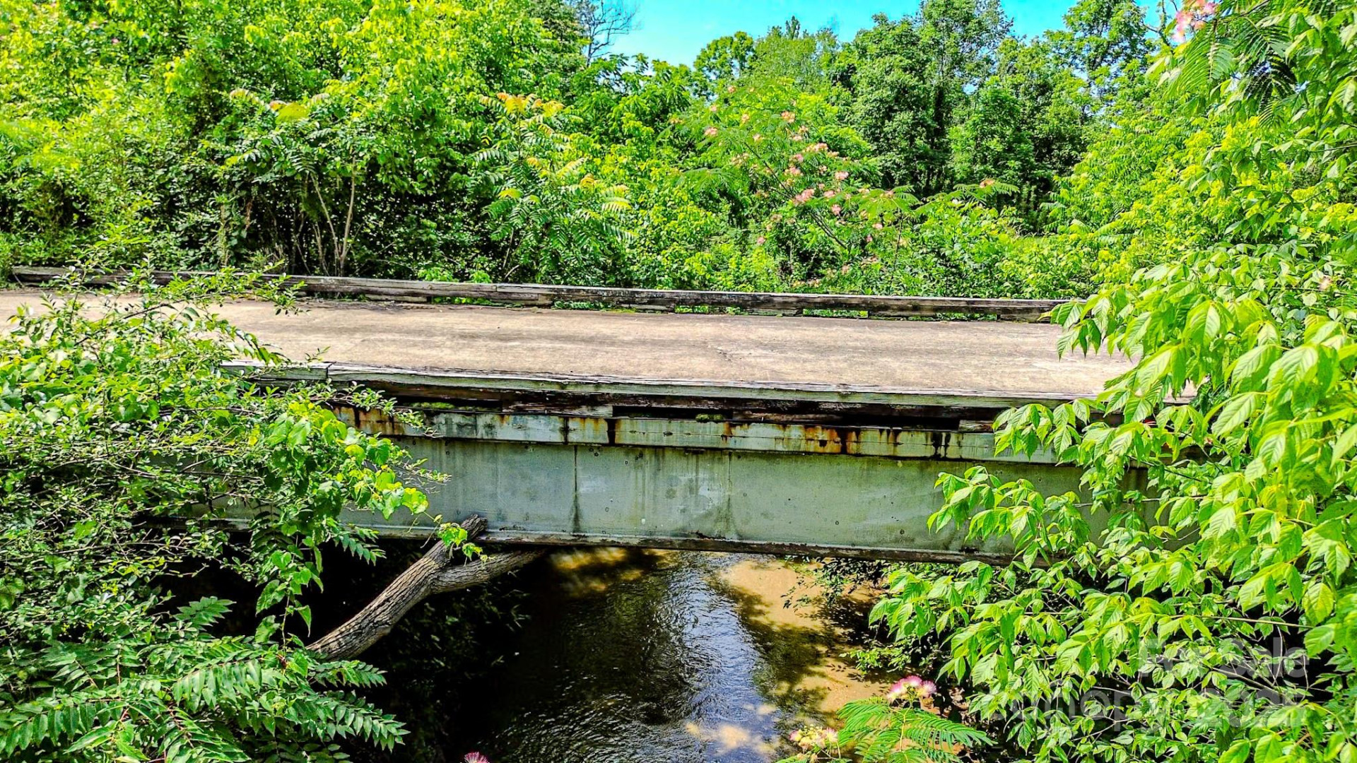 0 Cane Creek Road - Photo 10